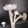 Albino Avery - Spore Swab - Image 3