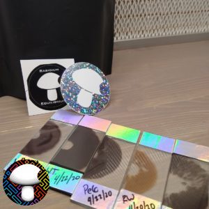 Glass Slides