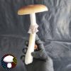 Cambodian Spore Print - Image 3