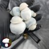 Yeti - Spore Swab - Image 6
