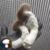 Psilocybe cubensis vader
