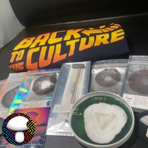 Psilocybe cubensis vader