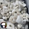 Psilocybe cubensis jack frost