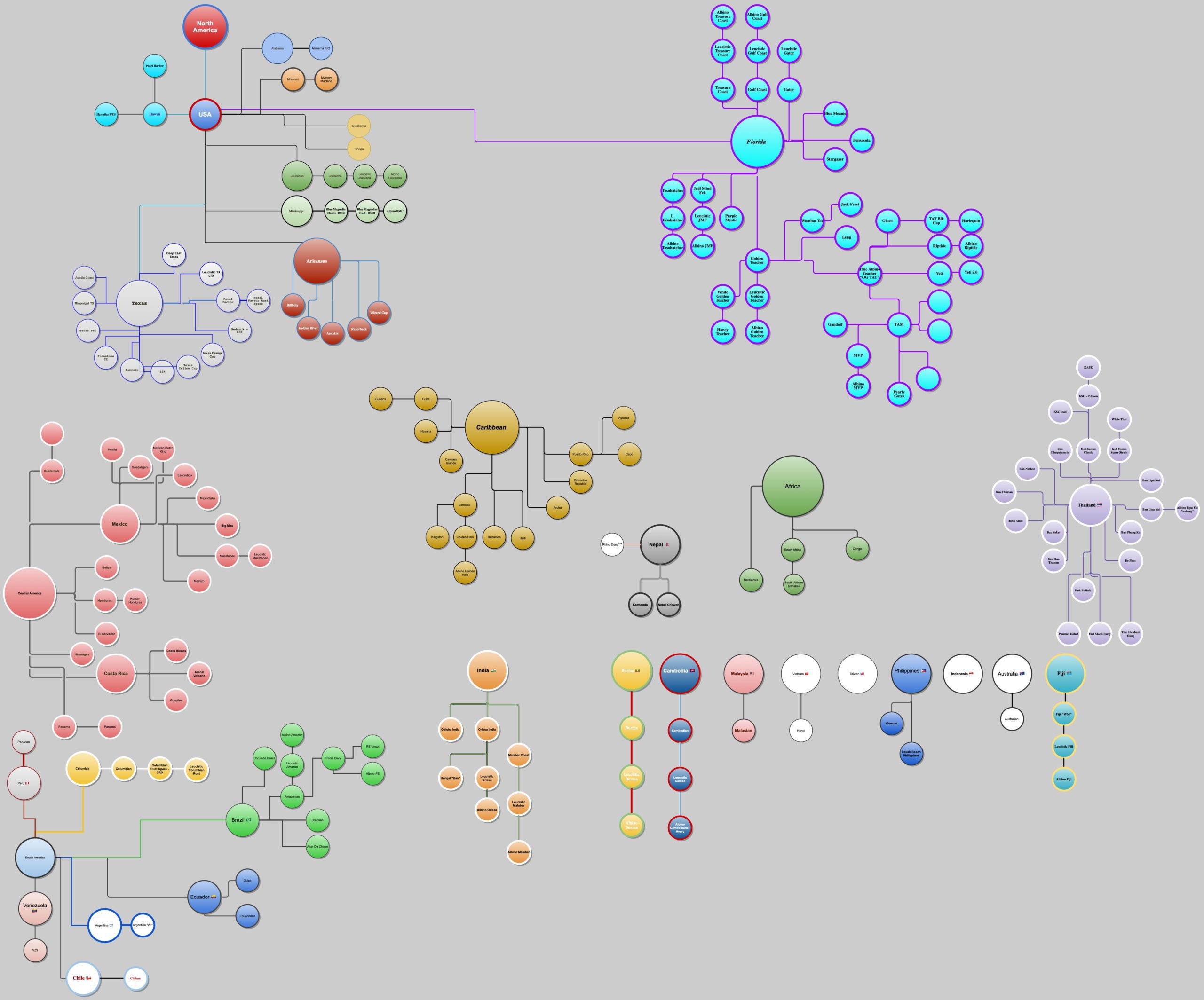 Genetic map of strains and their relationships