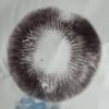 Squat Mac spore print cubensis