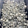 MFH Albino Penis Envy Mushroom Spores