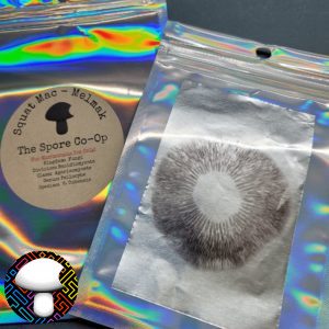 Squat Mac Spore Print - Exclusive Psilocybe Cubensis Genetic Collaboration.