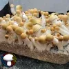 PE 22 OG, originating in 2022 - spore syringe - isolated syringe - mushroom genetics - penis envy mushroom