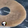 BAPER RUST Spore Print - Unique Rust-Colored Psilocybe Cubensis Spores.