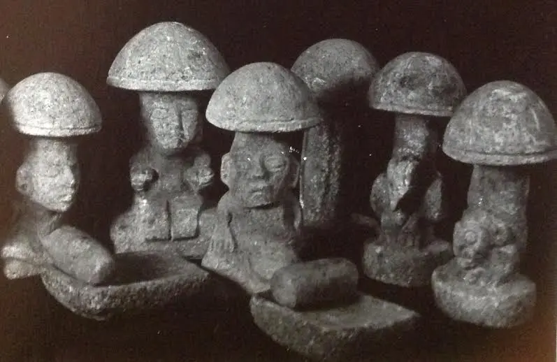 Mayan mushroom stones.
