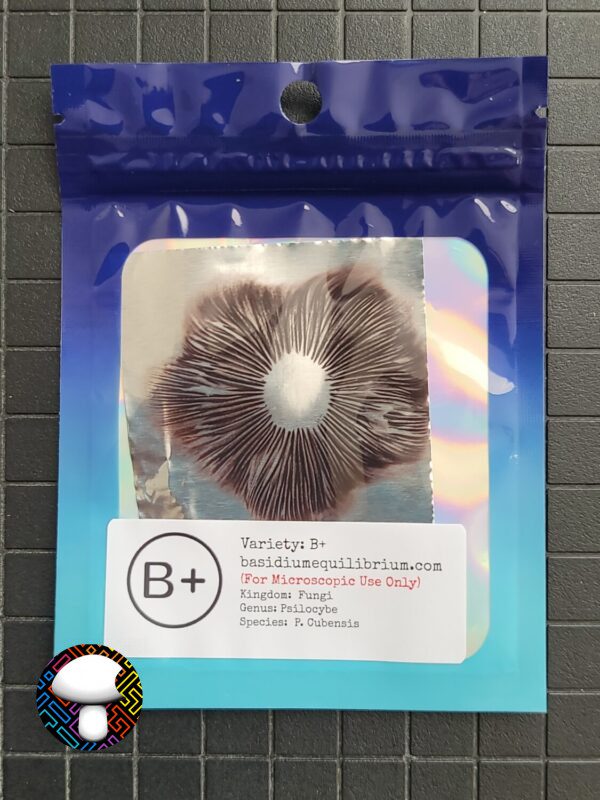 B+ Spore Print