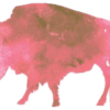 Pink Buffalo