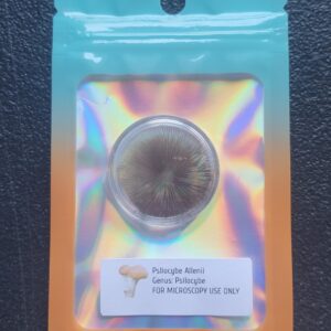 P. Allenii (Wild) Spore Print in mylar packaging