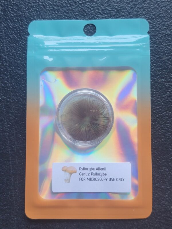 P. Allenii (Wild) Spore Print in mylar packaging