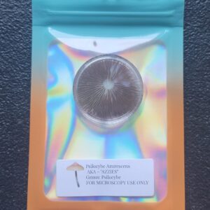 Psilocybe Azurescens mushroom spore print