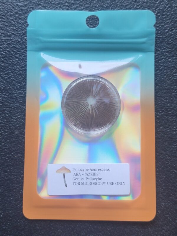 Psilocybe Azurescens mushroom spore print