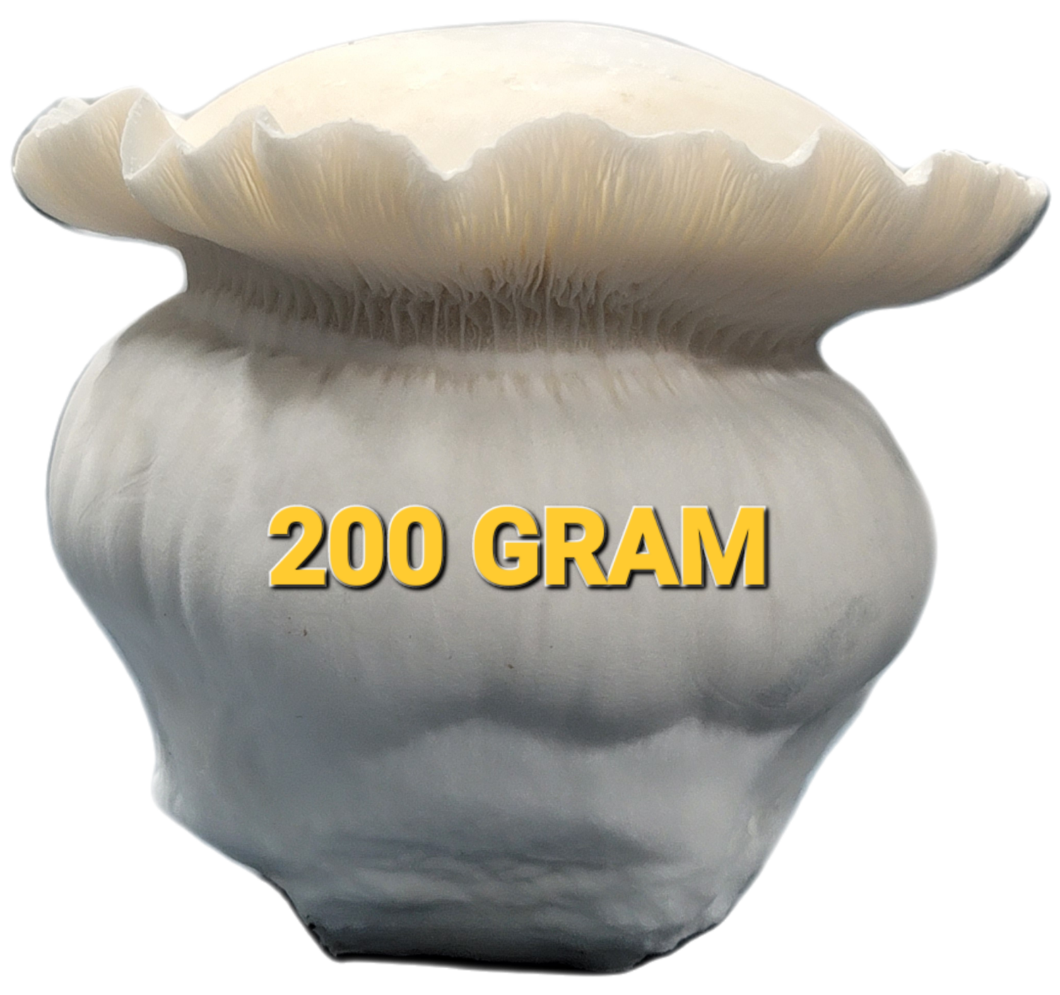 200g