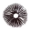 Spore Print