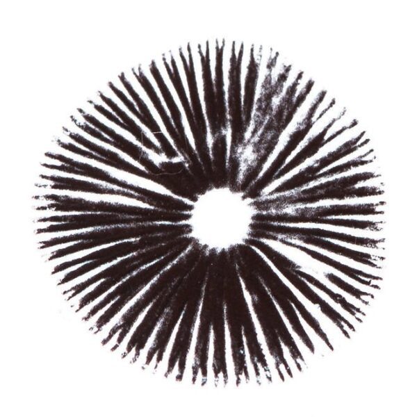 Spore Print