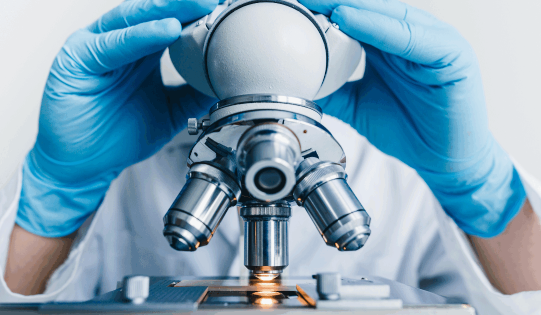 How to Start a Microscopy Journal: Track Your Spore Research Like a Pro