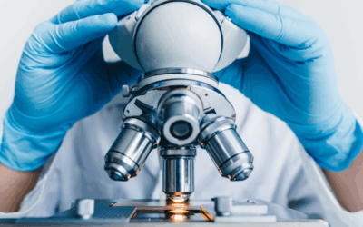 How to Start a Microscopy Journal: Track Your Spore Research Like a Pro