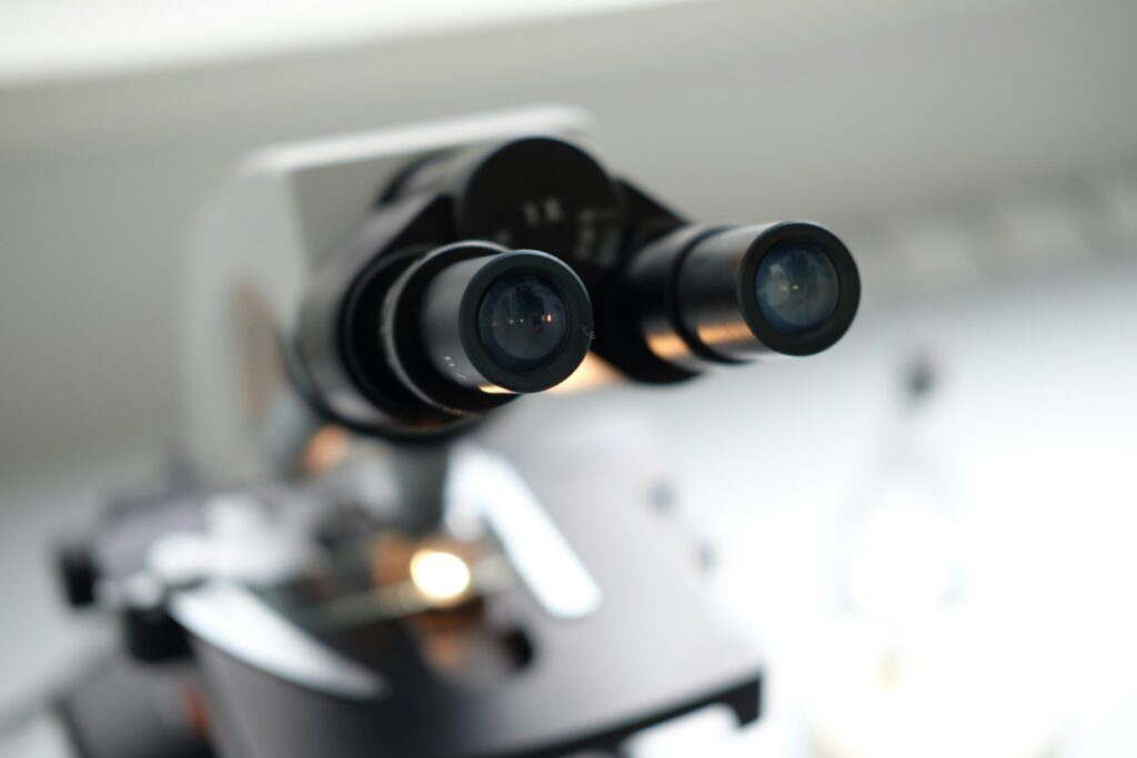 microscopy spores