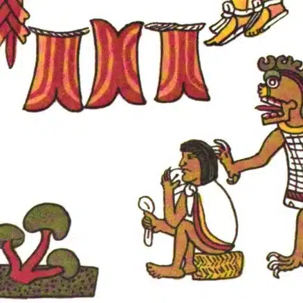 Teonanácatl Ancient people used psilocybin mushrooms blog about subtropicalis