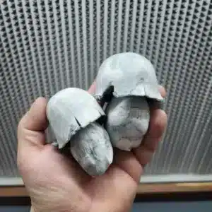 Cluster of Albino Penis Envy mushrooms, showcasing oversized stems and pure white caps.