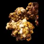 ATL 7 - Isolated Spore Syringe