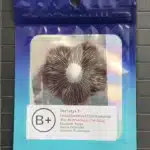 B+ Spore Print