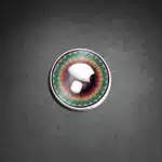 Basidium Equilibrium Mandala Sticker