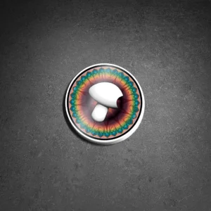 Round 4-inch vinyl sticker featuring Basidium Equilibrium mushroom logo on rainbow mandala background.