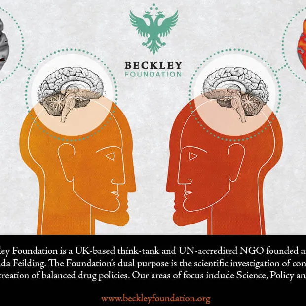 Beckley Foundation logo of there Non profit
