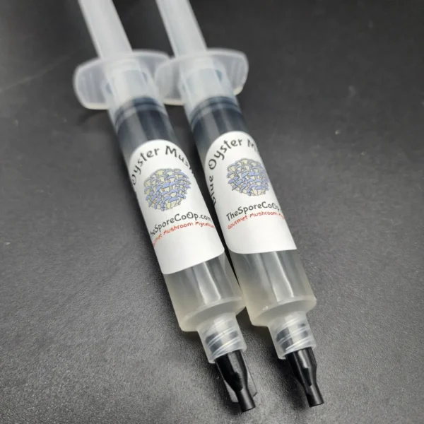 Sterile syringe containing Blue Oyster Mushroom liquid culture, prepared for microscopy, taxonomy, and research purposes.