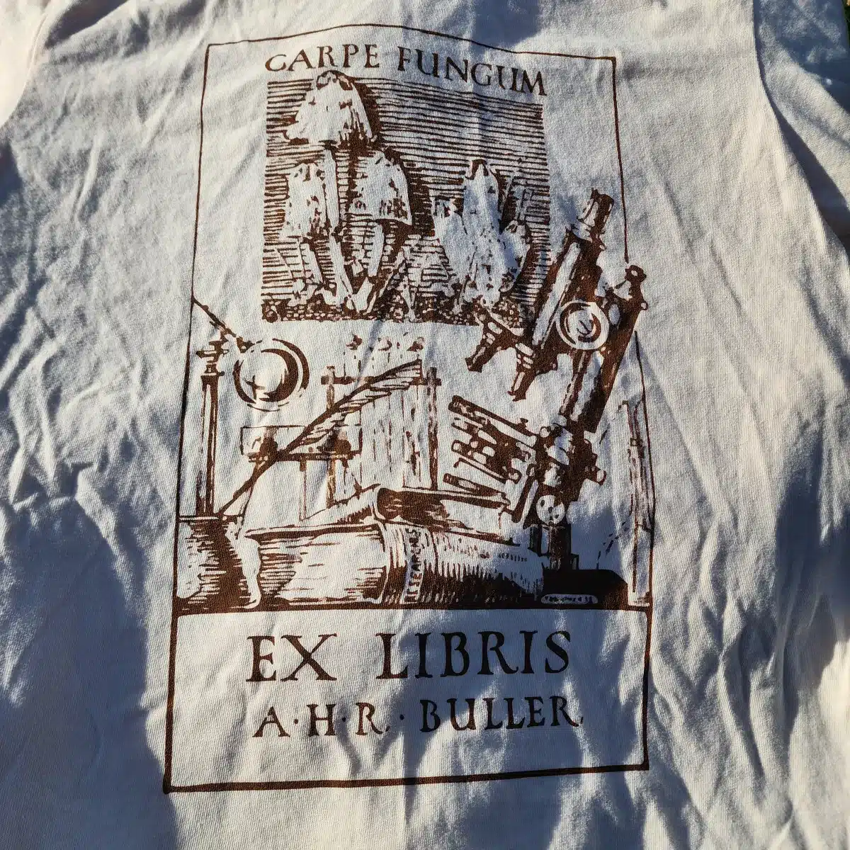 Close-up of cream Carpe Fungum shirt showing intricate brown fungal artwork printed on soft cotton fabric.