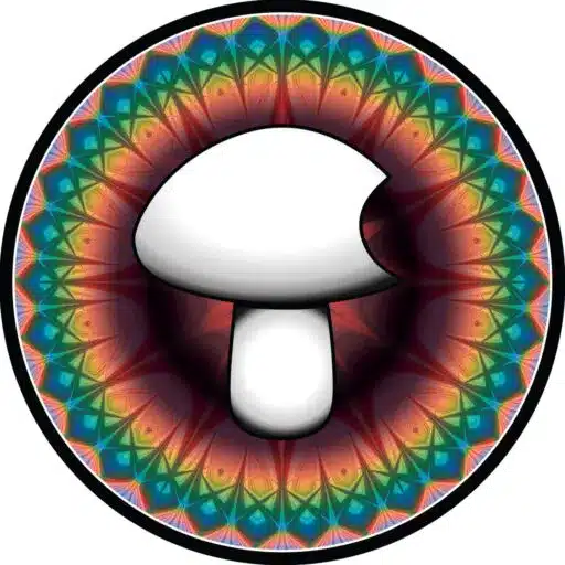 Basidium equilibrium logo