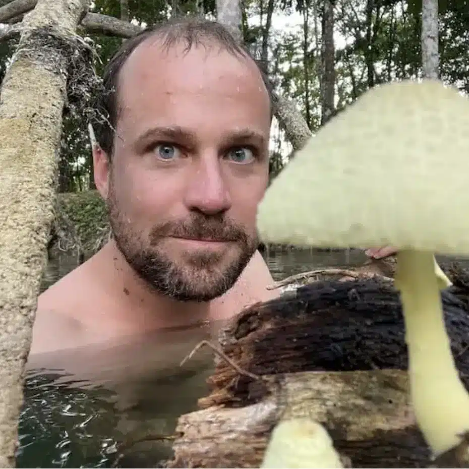 Dennis Walker lacandon mushroom's 