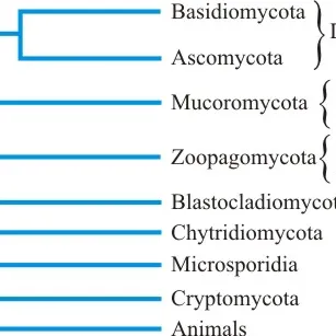 Genetic Vault and genetic storage for mushroom spores and genetics.