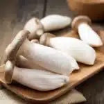 King Oyster Mushroom Liquid Culture