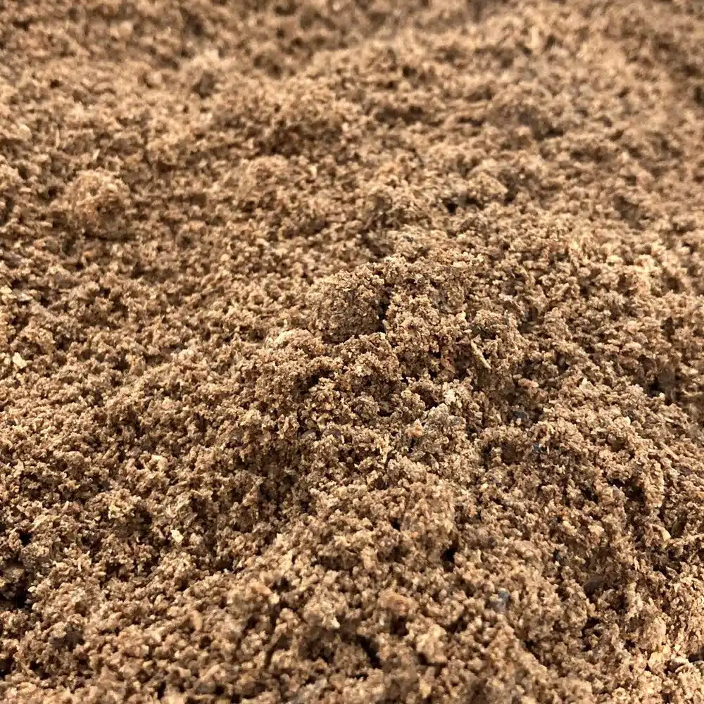 Lions Mane substrate