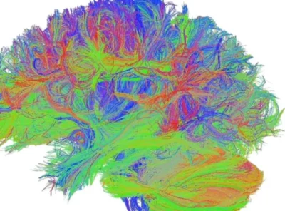 Lion’s Mane: Unlocking Neurogenesis