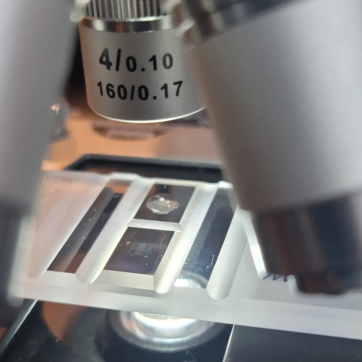 Microscope with slide to view microscopic spores.