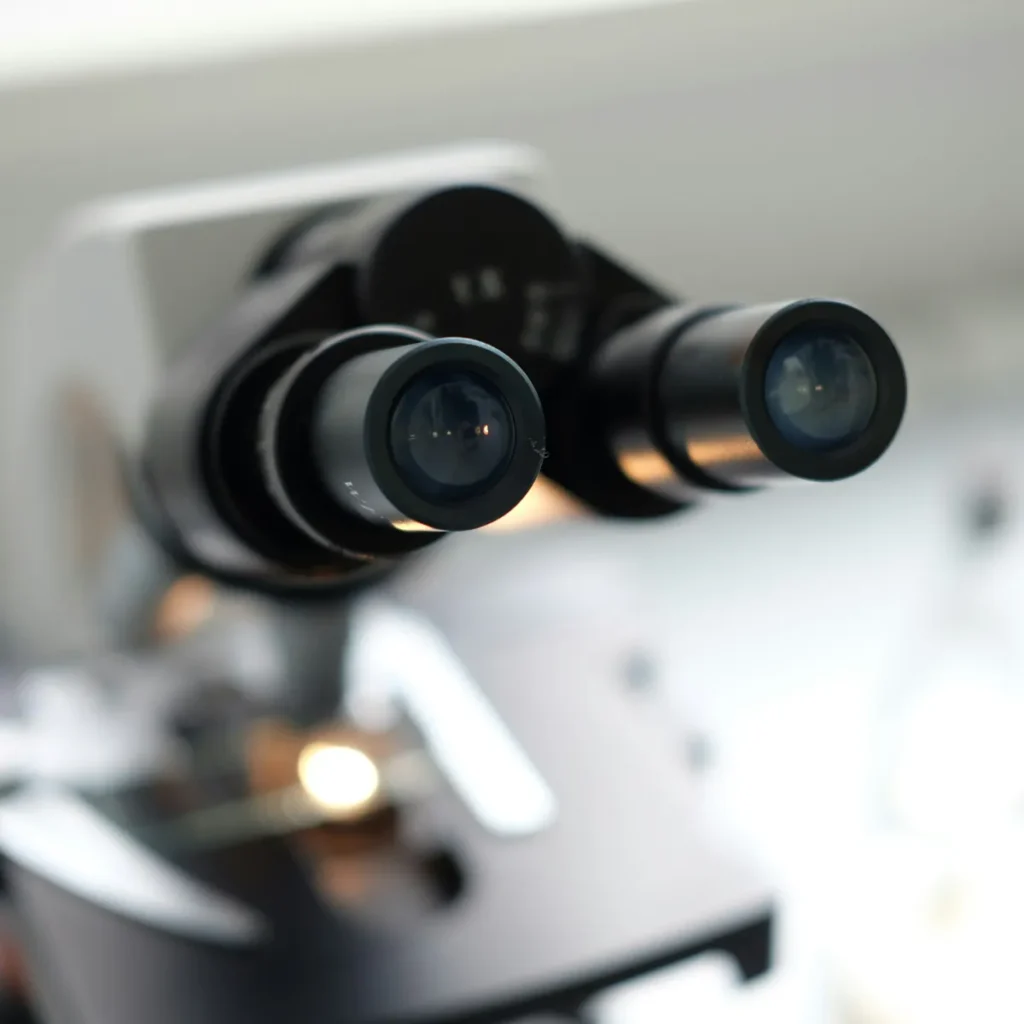 Using a microscope for microscopy and viewing mushroom spores.