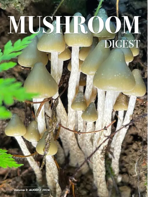 Mushroom Digest volume 2 featuring wild foraged Psilocybe Zapotecorum from Mexico.