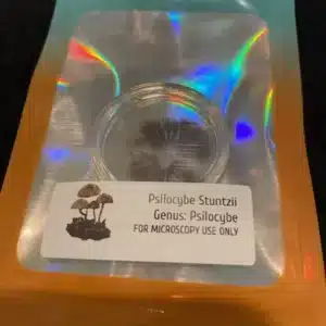 Psilocybe stuntzii spore print showing dark purple-brown spores characteristic of the species.