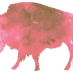 Pink Buffalo Isolated Spore Syringe