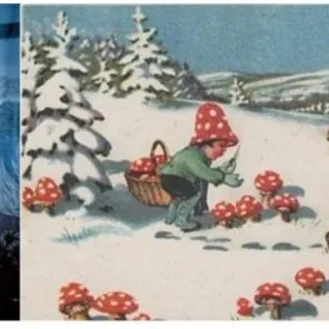 Yuletide siberian shaman magic mushrooms