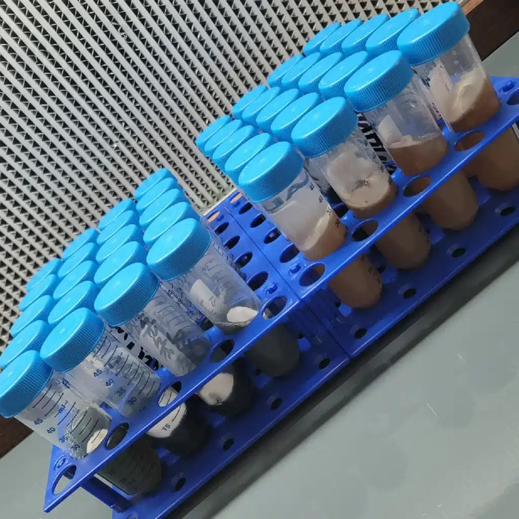 genetic-mushroom-spores