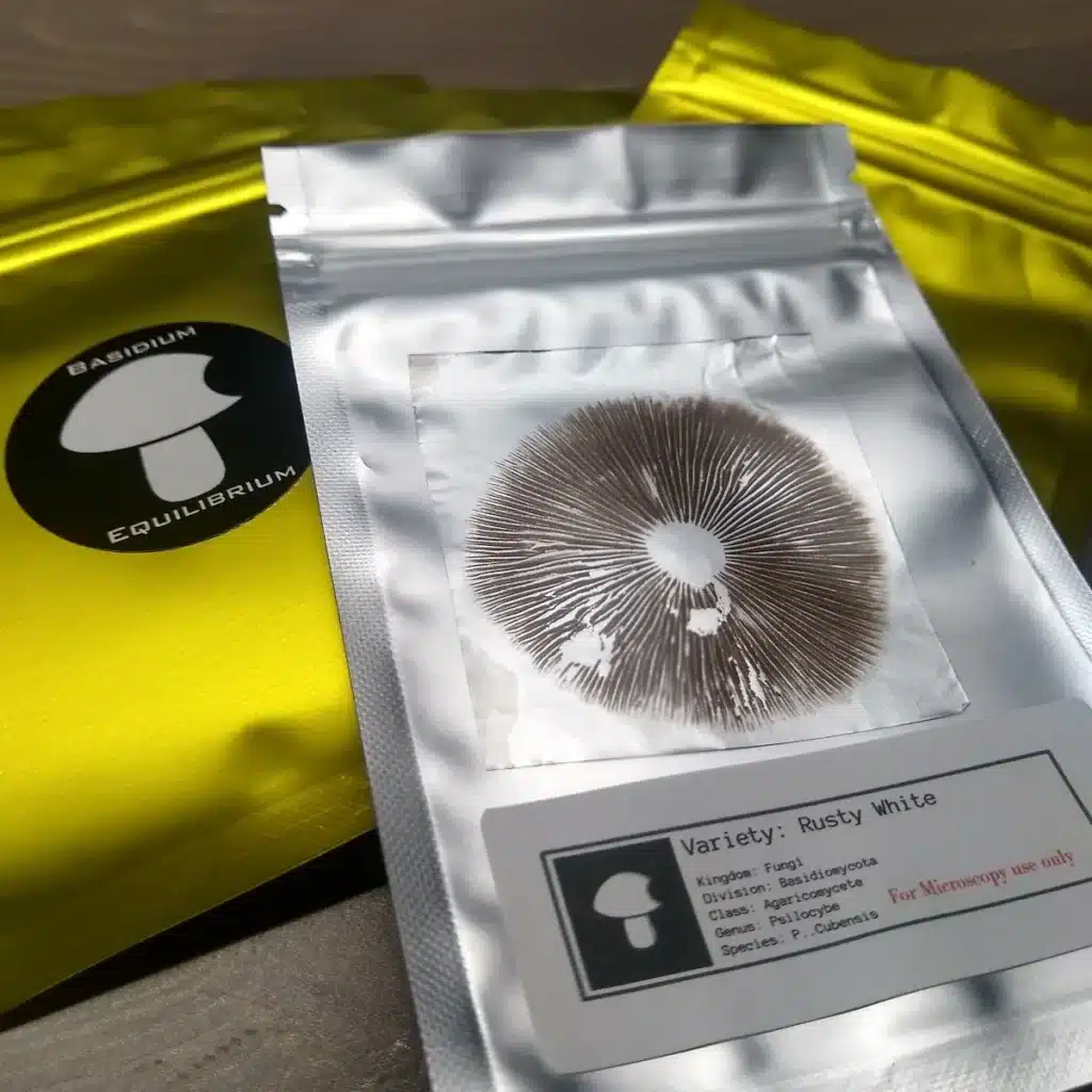 how-to-store-mushroom-spores