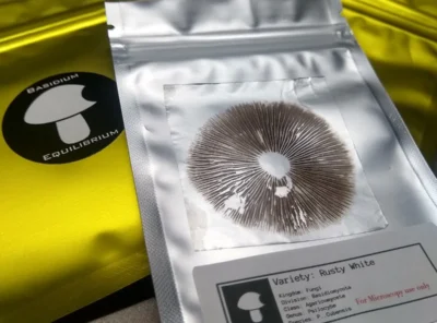 How to Store Mushroom Spores During Summer: Heat, Humidity, and Protection Tips
